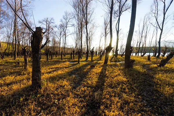 5 Warning Signs of Aortic Aneurysm You Should Never Ignore